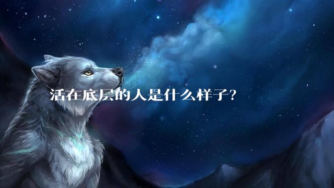 活在底层的人是什么样子？