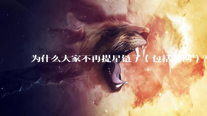 为什么大家不再提星链了（包括外网）？