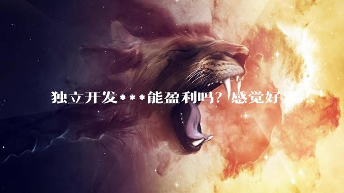 独立开发***能盈利吗？感觉好累...