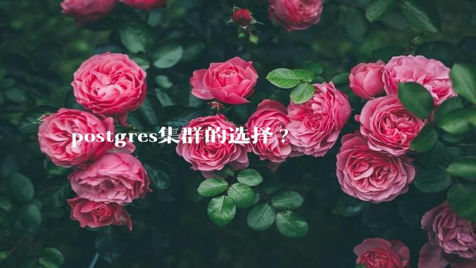 postgres集群的选择?