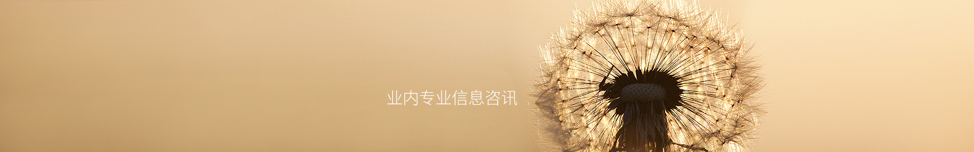 界岭镇